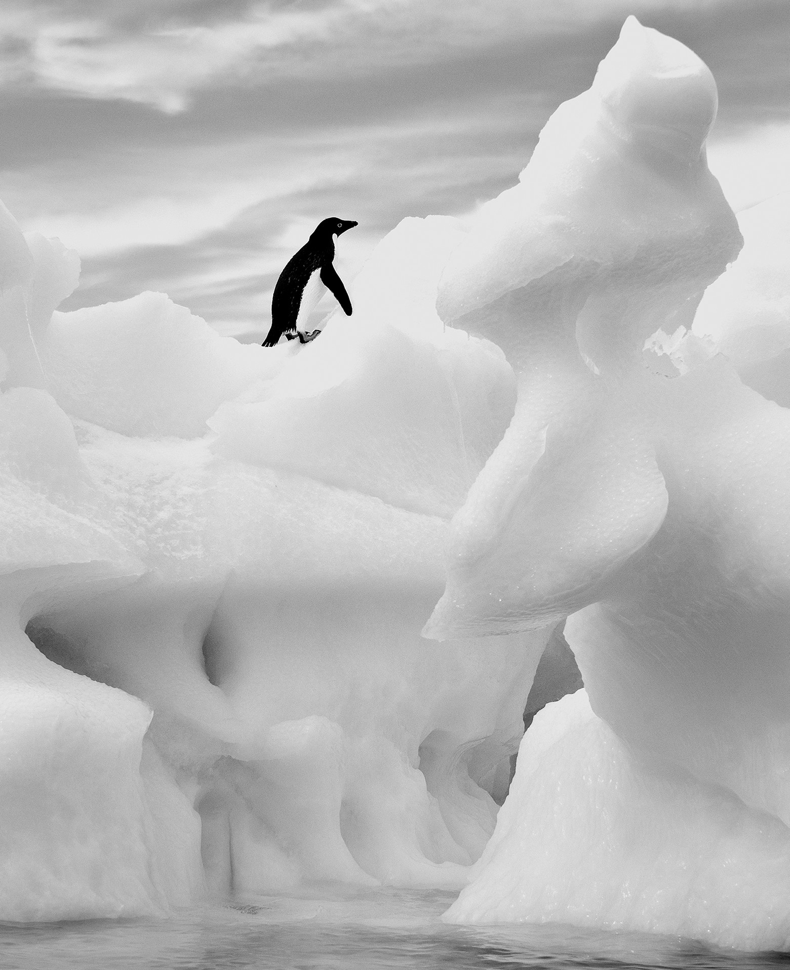 March 2014 cover of The Sun. An Adélie penguin halfway up a stunning ice formation off the shore of Paulette Island in Antarctica.